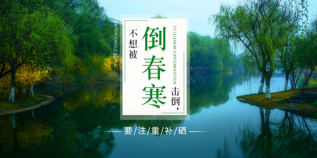 专家 老年人 补硒（补老年专家硒人参多少钱）-硒宝网