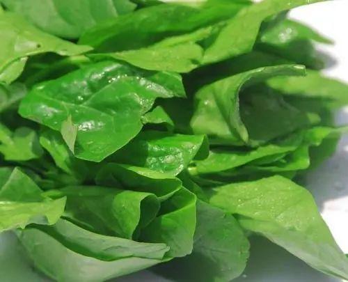 什么蔬菜最补钙(什么水果蔬菜补钙)-硒宝网