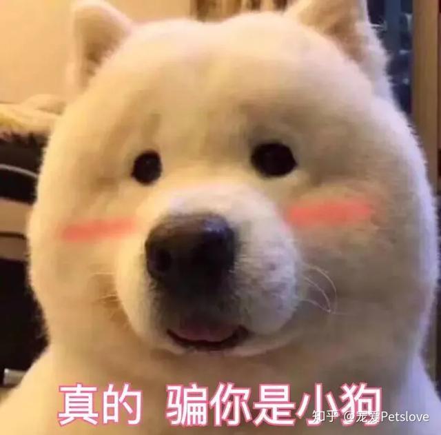 大骨汤能补钙吗（骨汤真的补钙吗）-硒宝网