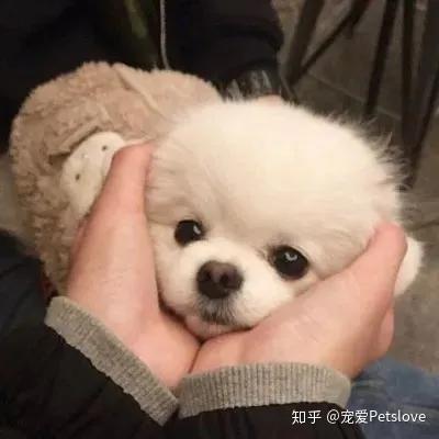 大骨汤能补钙吗（骨汤真的补钙吗）-硒宝网