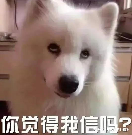 大骨汤能补钙吗（骨汤真的补钙吗）-硒宝网