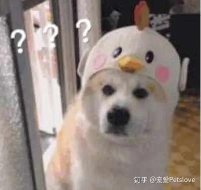 大骨汤能补钙吗（骨汤真的补钙吗）-硒宝网