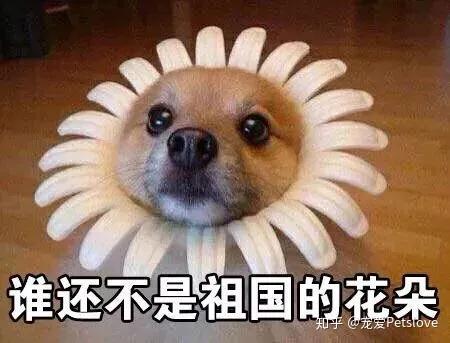 大骨汤能补钙吗（骨汤真的补钙吗）-硒宝网