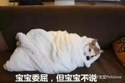 大骨汤能补钙吗（骨汤真的补钙吗）-硒宝网