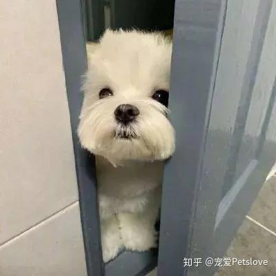 大骨汤能补钙吗（骨汤真的补钙吗）-硒宝网