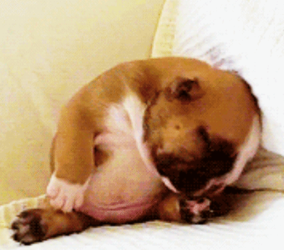 吃鱼补铁吗(吃鱼补铁补血吗)-硒宝网