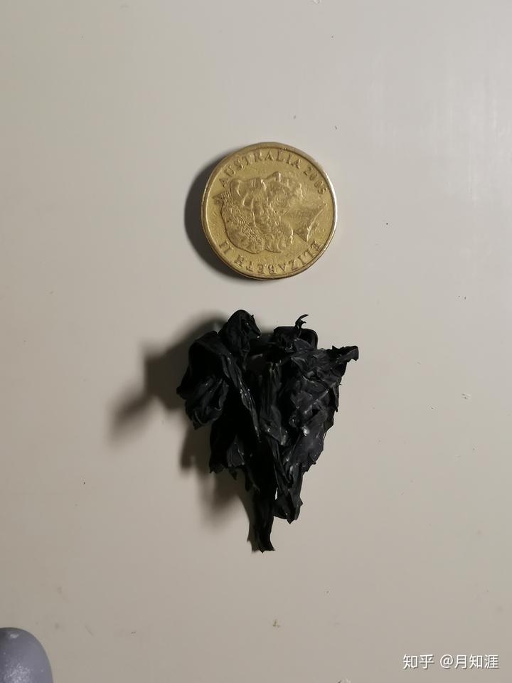 紫菜补碘吗(紫菜补碘几天能补上来)-硒宝网