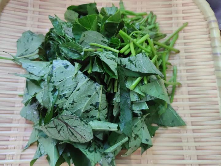 吃什么菜可以补钙（菜补钙）-硒宝网