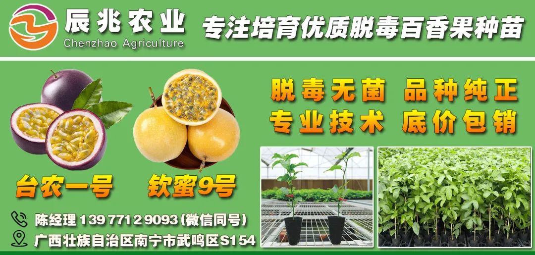 怎样快速补钙(补钙快速补钙)-硒宝网