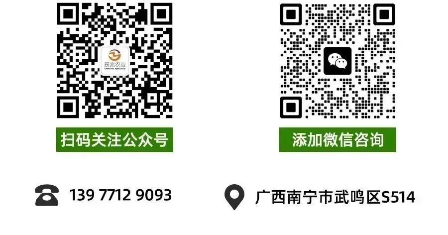 怎样快速补钙(补钙快速补钙)-硒宝网