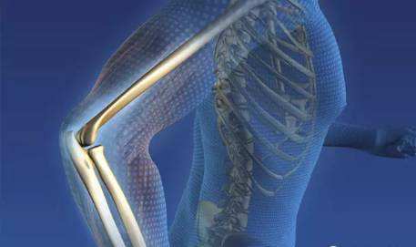 筒骨补钙吗(筒骨补钙汤)-硒宝网