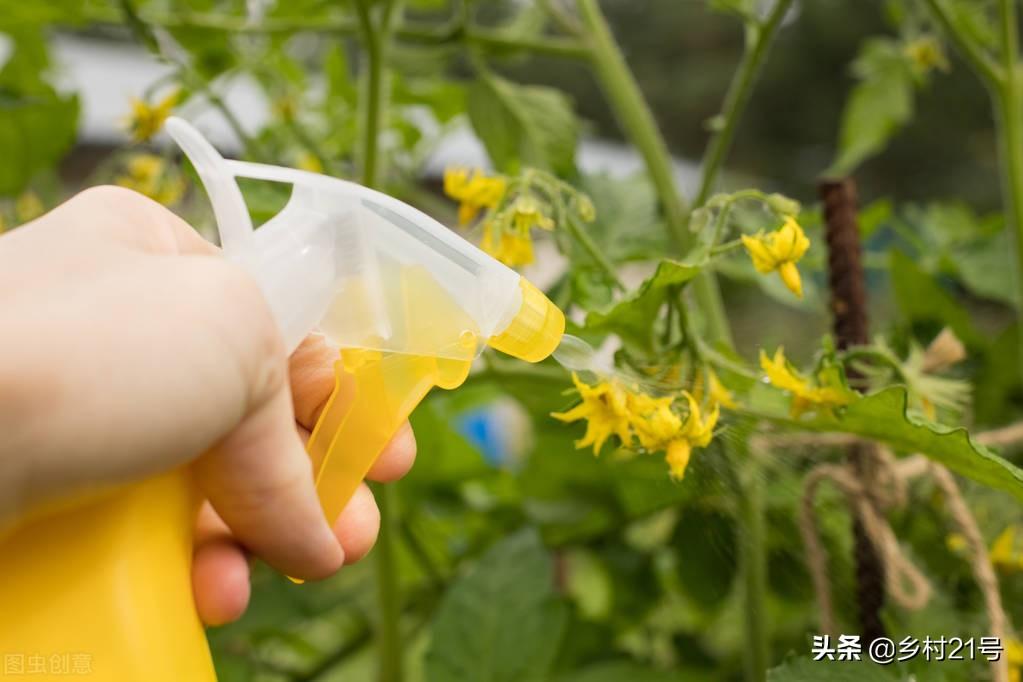 怎么给蔬菜补硒肥料(蔬菜补肥料硒含量高吗)-硒宝网