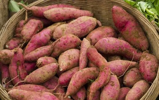 补锌补硒最好的食物(补食物好补锌硒的有哪些)-硒宝网