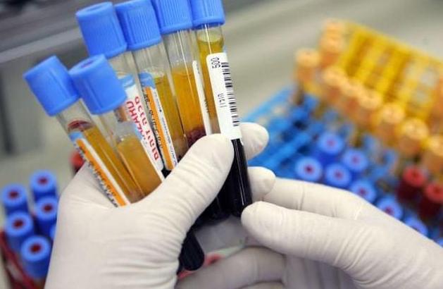 地贫可以补铁吗（地贫可以补铁补血吗）-硒宝网