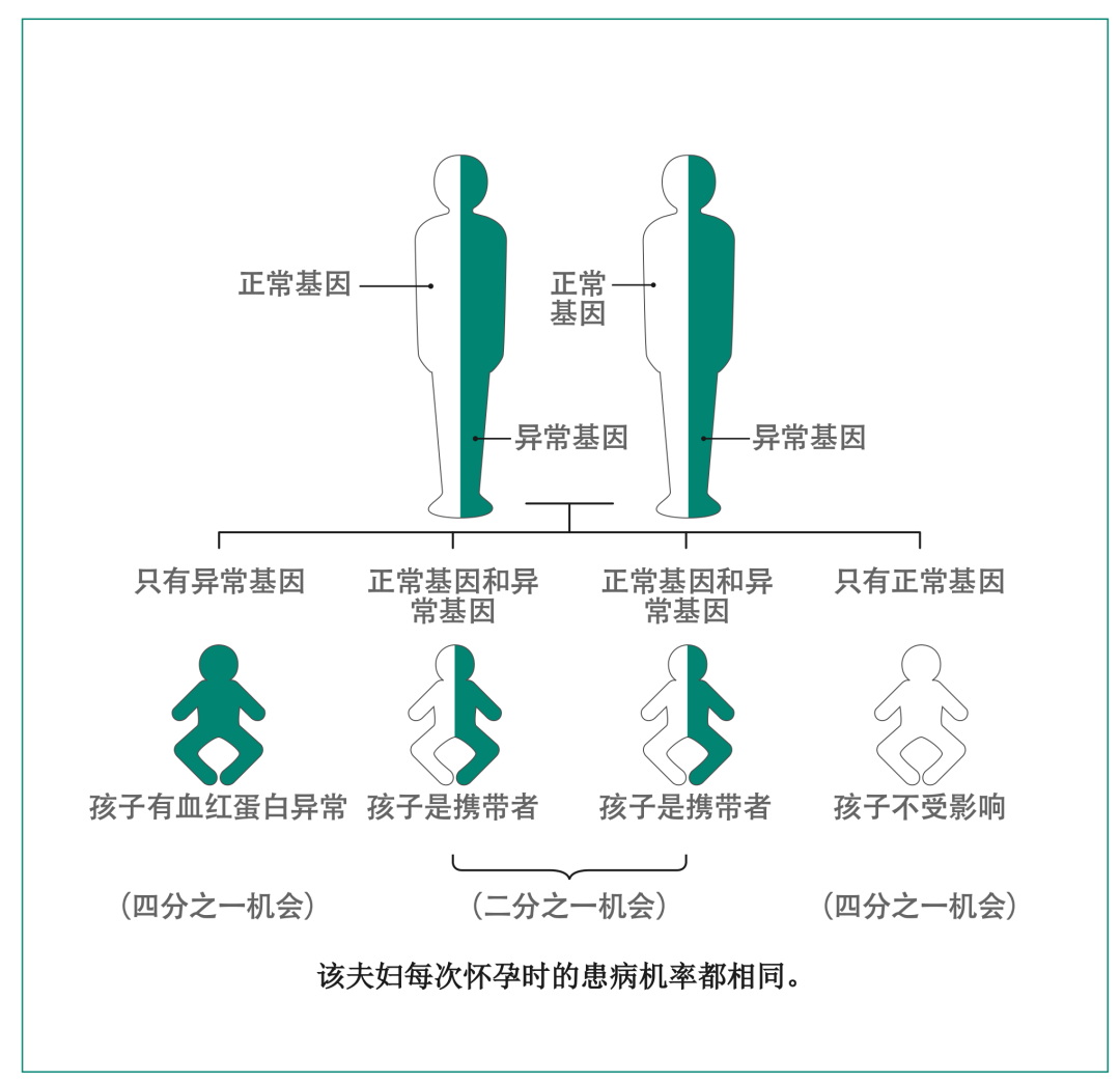 地贫可以补铁吗（地贫能补铁剂吗）-硒宝网