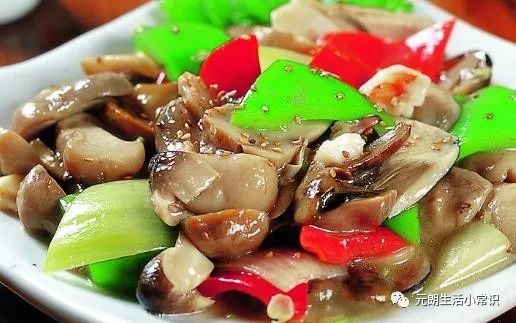 补锌补硒最好的食物（补锌和补硒的食物有哪些）-硒宝网