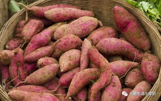 补锌补硒最好的食物（补锌和补硒的食物有哪些）-硒宝网