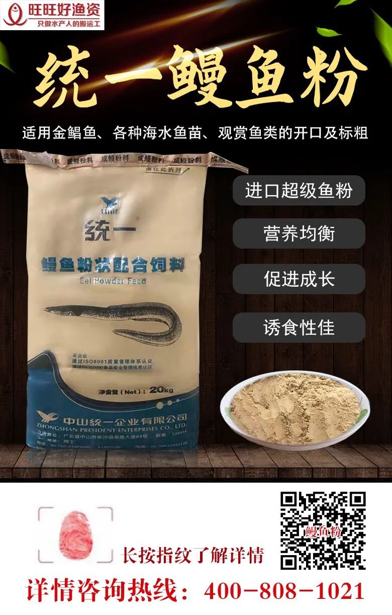 鲫鱼汤能补钙吗(鲫鱼汤补钙还是骨头汤补钙)-硒宝网