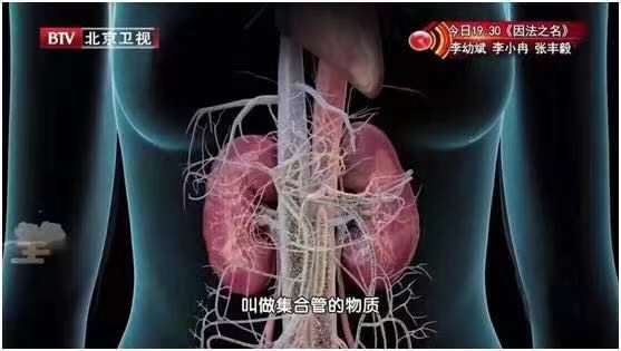 鲫鱼汤能补钙吗(鲫鱼汤补钙还是骨头汤补钙)-硒宝网