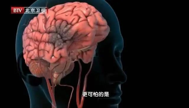 鲫鱼汤能补钙吗(鲫鱼汤补钙还是骨头汤补钙)-硒宝网