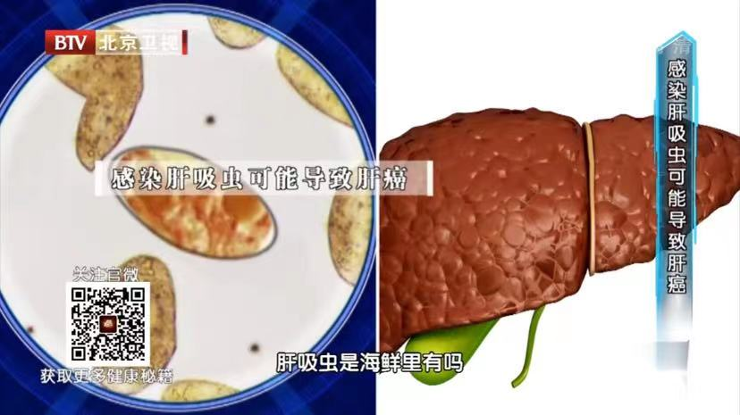 鲫鱼汤能补钙吗(鲫鱼汤补钙还是骨头汤补钙)-硒宝网