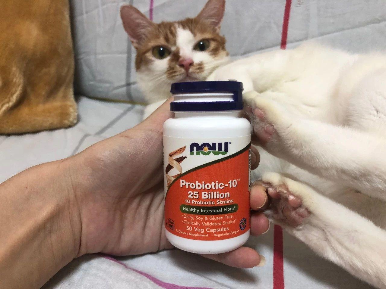 怎么给猫补钙(猫补钙可以喝葡萄糖酸钙吗)-硒宝网