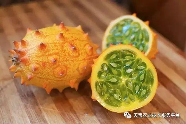 吃什么补硒最快芦笋（芦笋补钙吗）-硒宝网