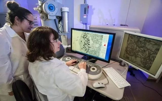 疫情期间教授说补硒(国家对疫情期间补贴的政策)-硒宝网