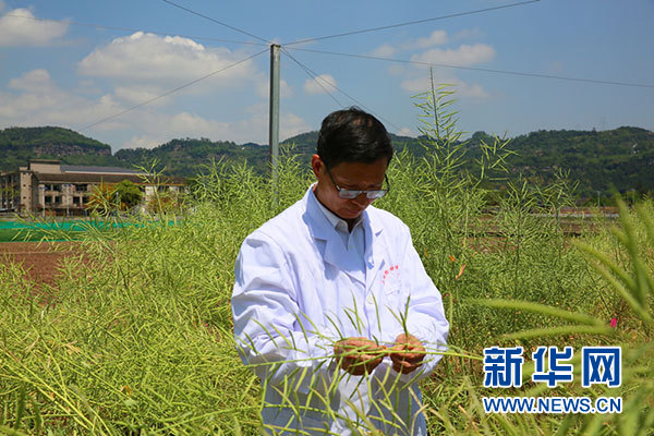 合格补硒产品有哪些（补充硒产品）-硒宝网