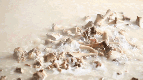 鱼汤能补钙吗(补钙鱼汤用什么鱼)-硒宝网