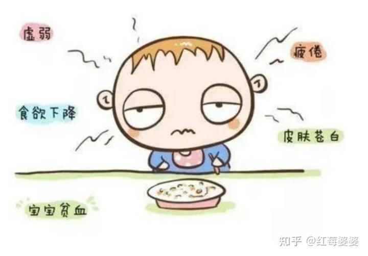 鱼补铁吗（鱼补铁效果好吗）-硒宝网