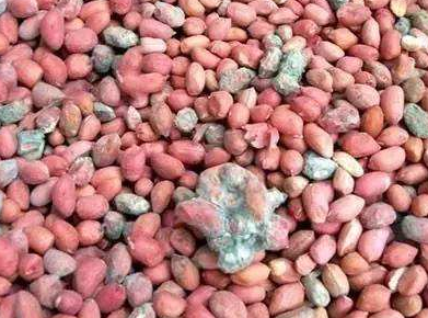 口腔白斑可以补硒吗（硒与白斑）-硒宝网