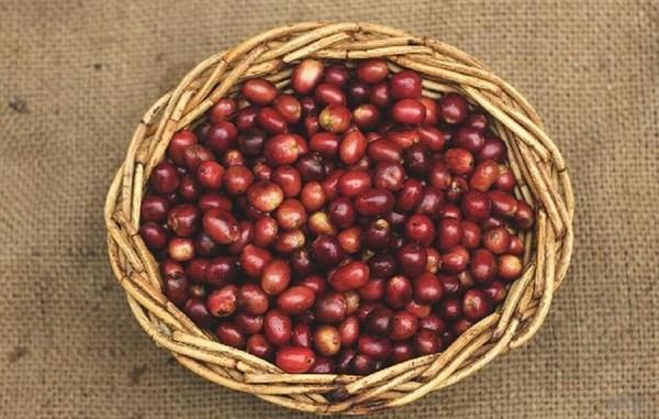 补硒可以治疗白发吗(白发补治疗硒可以长头发吗)-硒宝网