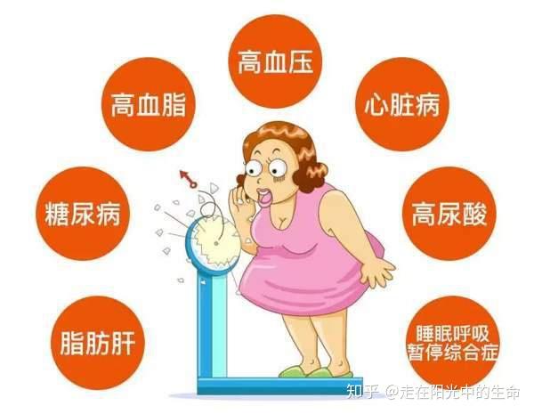 吃什么补硒元素最好(补充硒元素的好处)-硒宝网