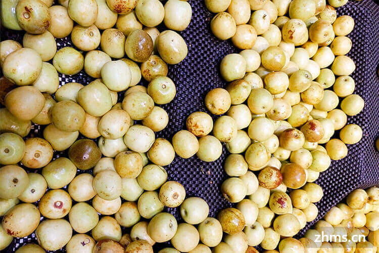 什么水果是补钙的(水果补钙的有哪些)-硒宝网