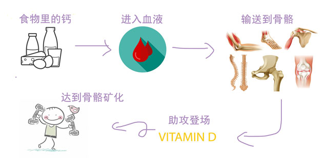 晒太阳真的补钙吗(晒太阳补钙需要直晒太阳吗)-硒宝网