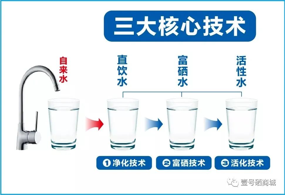 全民补硒中国健康行（全民补硒工程发起人是谁）-硒宝网