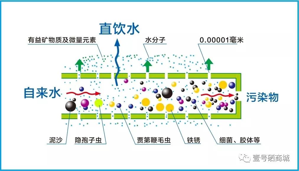 全民补硒中国健康行（全民补硒工程发起人是谁）-硒宝网