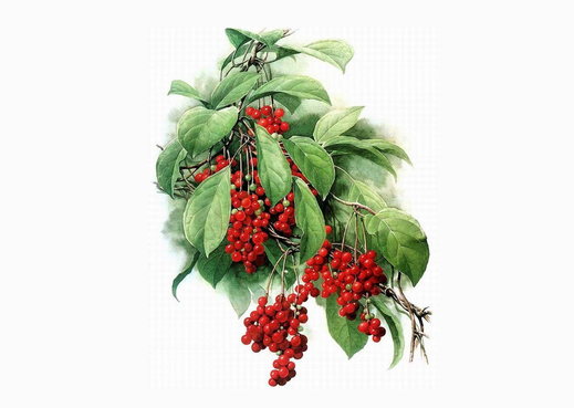 靶向治疗可以补硒吗（肺癌吃靶向药要补硒吗）-硒宝网