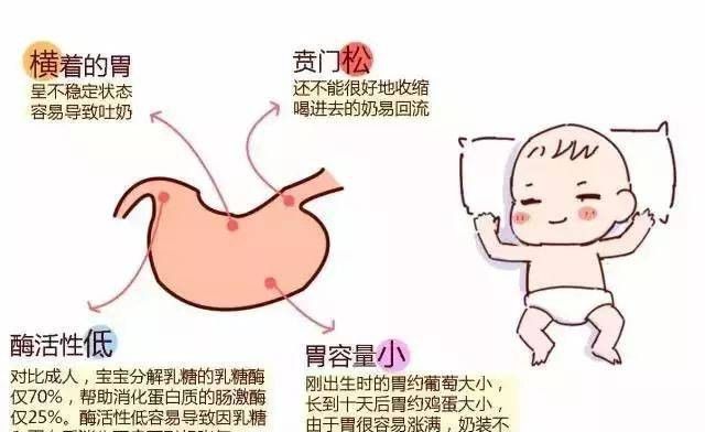 6个月婴儿需要补钙吗（婴儿补钙月份）-硒宝网