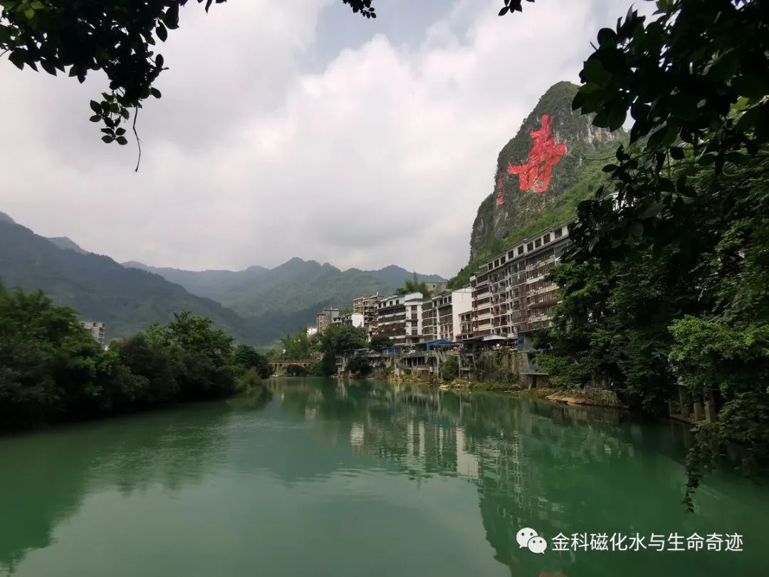 韩国补硒保健怎样吃(含硒的保健品会发胖吗)-硒宝网