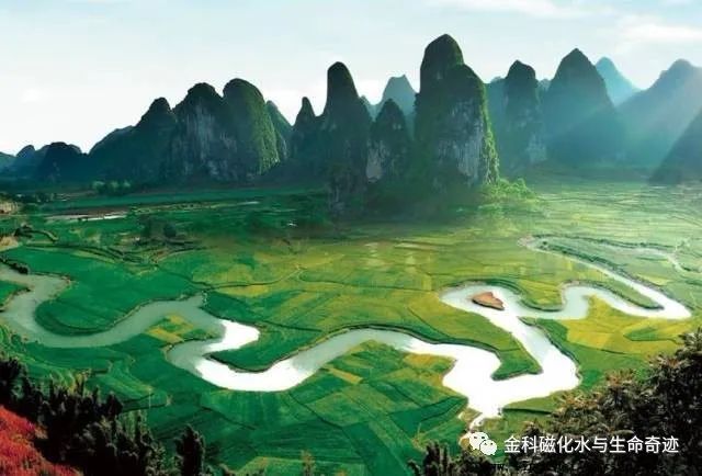 韩国补硒保健怎样吃(含硒的保健品会发胖吗)-硒宝网