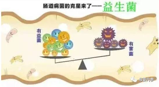 补硒是空腹还是饭后（饭后空腹补硒是空腹吗）-硒宝网