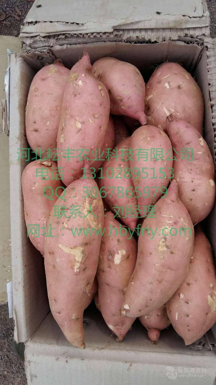 对于科学补硒的感受（科学补硒刻不容缓）-硒宝网