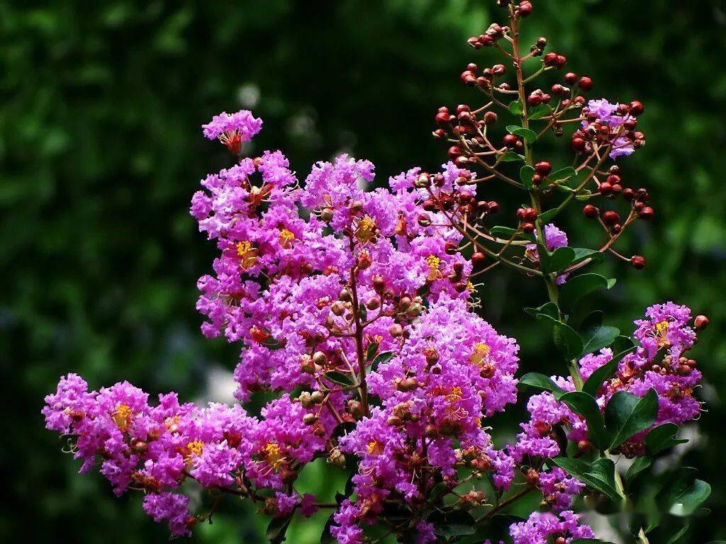 对于科学补硒的感受（科学补硒刻不容缓）-硒宝网