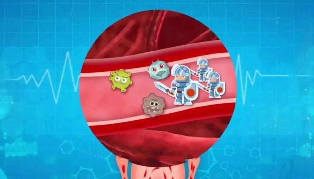 细胞微量元素（细胞微量元素特殊口诀）-硒宝网