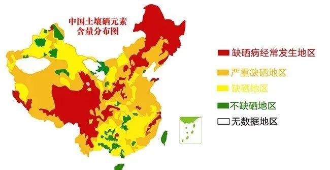 怎样为动物补硒最好(动物补硒的作用)-硒宝网
