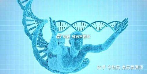 钙铁锌硒到底补什么(补钙铁锌硒哪个效果好)-硒宝网