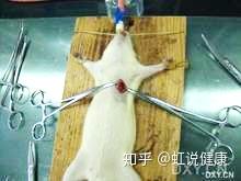 补硒可以治好肺结节(肺结节可以吃硒酵母片吗)-硒宝网