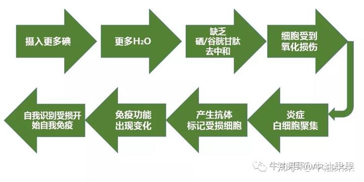 桥本补硒含量高食物(桥本病补硒)-硒宝网